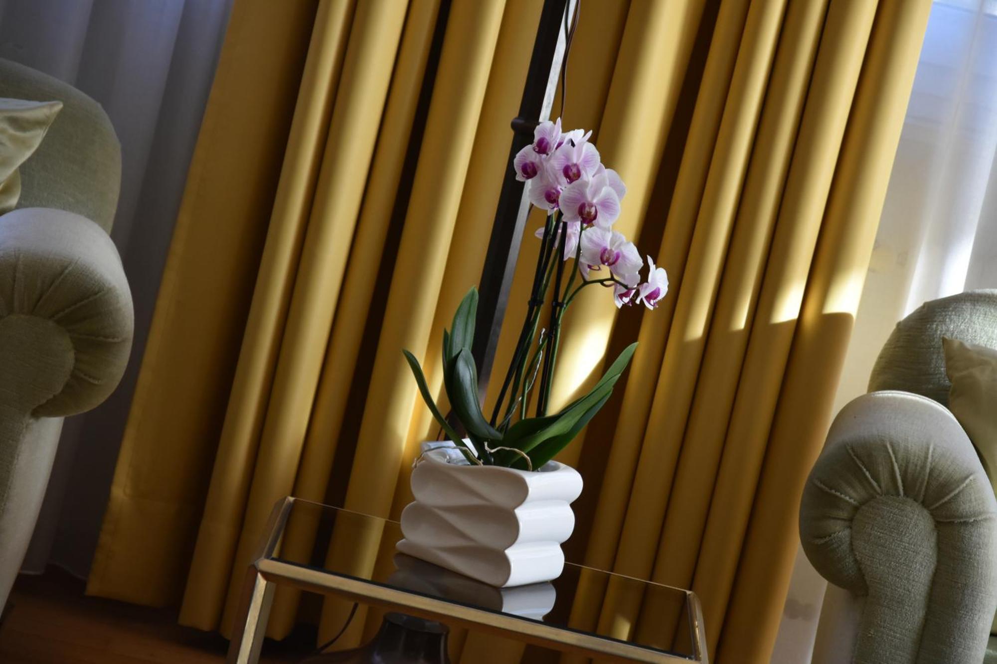 Casa Santa Birgitta Hotel Лугано Екстериор снимка