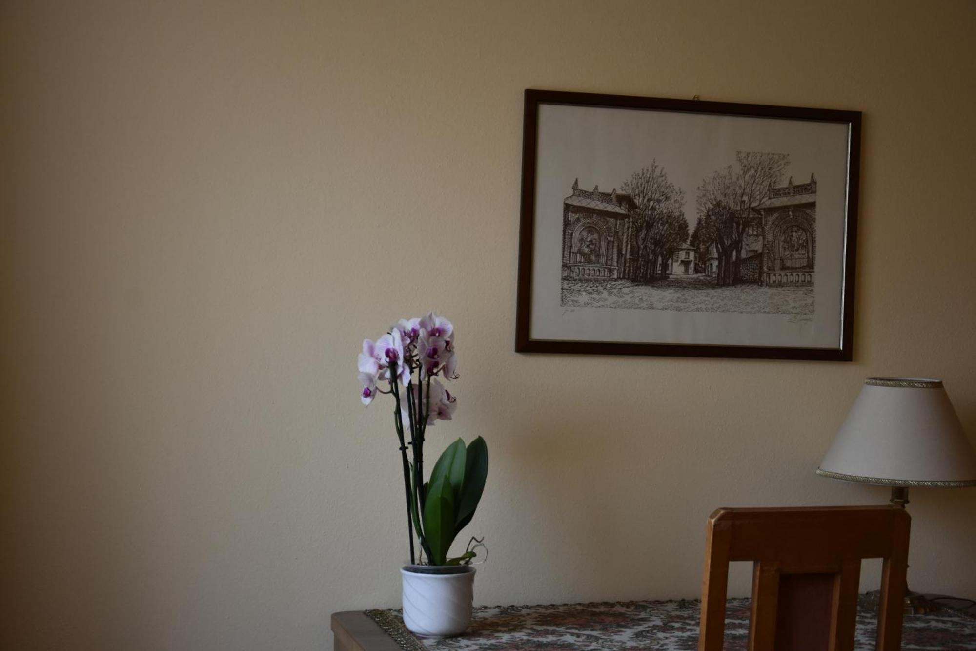Casa Santa Birgitta Hotel Лугано Екстериор снимка